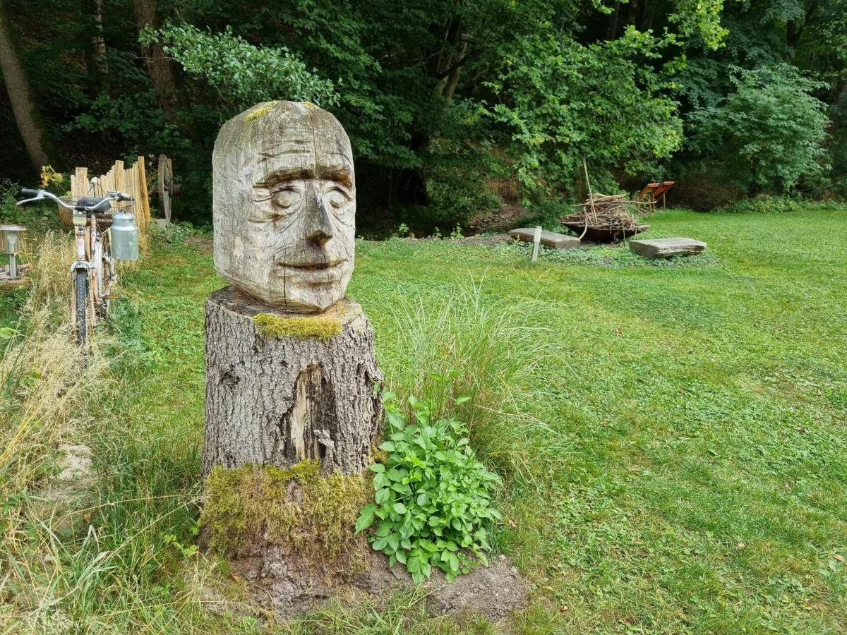 Ferienhaus Rehblick - Direkt In Der Natur, Mit Lesezimmer Und Zwei Terrassen Friedrichroda Exterior photo